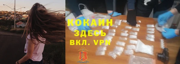 прущая мука Инсар