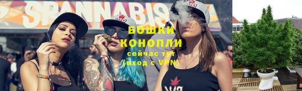 прущая мука Инсар
