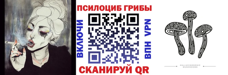 Галлюциногенные грибы Cubensis  Купить  Лодейное Поле 